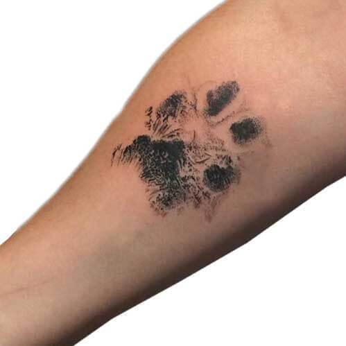 Stempelkussen voor honden of kattenpootjes - PawPrint©