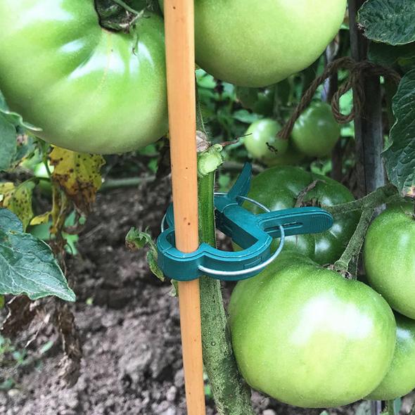 Plantenklemmetjes | PlantClip™ 1+1 gratis