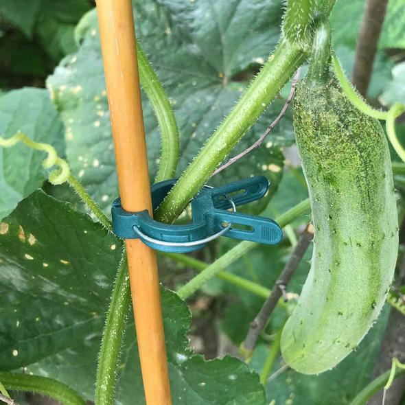 Plantenklemmetjes | PlantClip™ 1+1 gratis