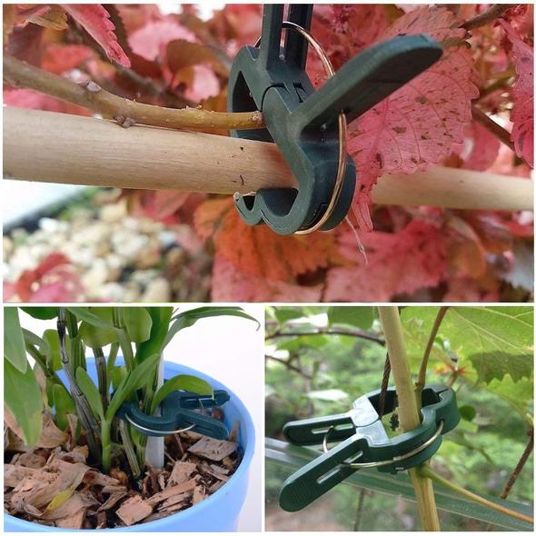 Plantenklemmetjes | PlantClip™ 1+1 gratis