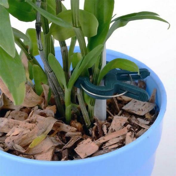 Plantenklemmetjes | PlantClip™ 1+1 gratis