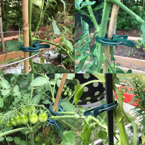 Plantenklemmetjes | PlantClip™ 1+1 gratis