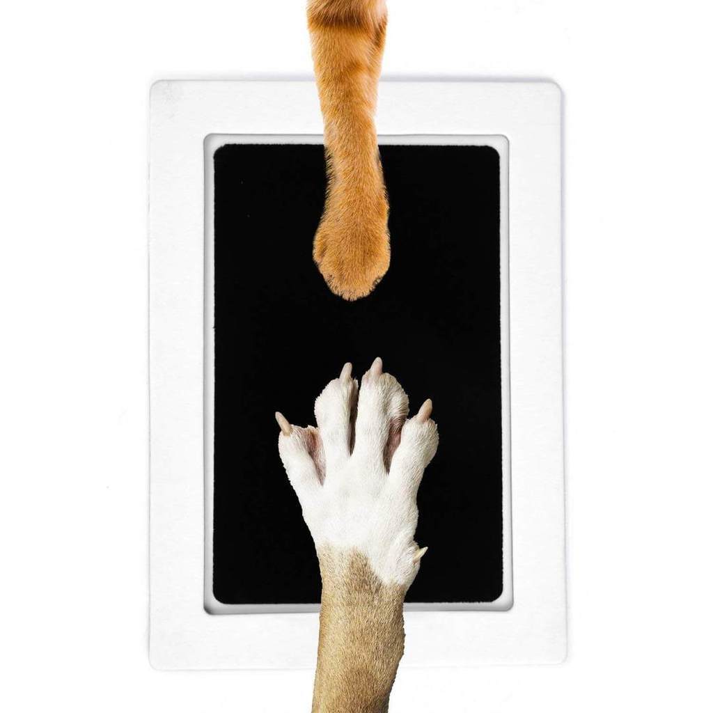 Stempelkussen voor honden of kattenpootjes - PawPrint©