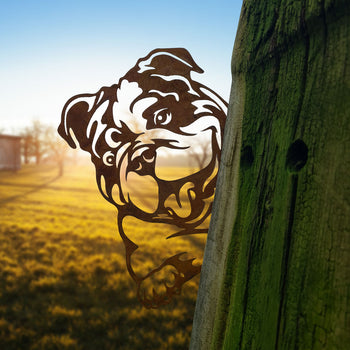 Dier van metaal - Amerikaanse Bulldog om de hoek kijkend