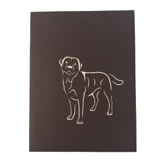 labrador 3D kaart bruin
