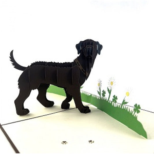 labrador 3D kaart bruin
