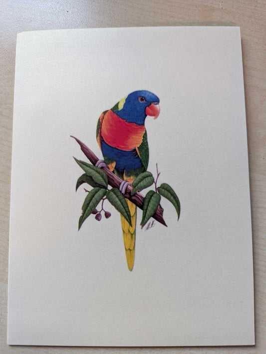 3D kaart papegaai