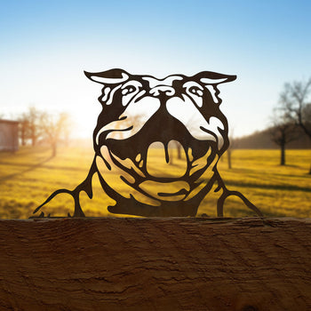 Dier van metaal - Amerikaanse Bulldog